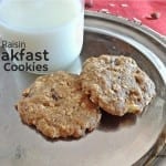 apple oatmeal raisin breakfast cookie