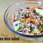 Apple Pecan Brown Rice Salad - a healthy brown rice salad with apples, cranberries, carrots, onions and pecans. vegan, vegetarian, gluten-free
