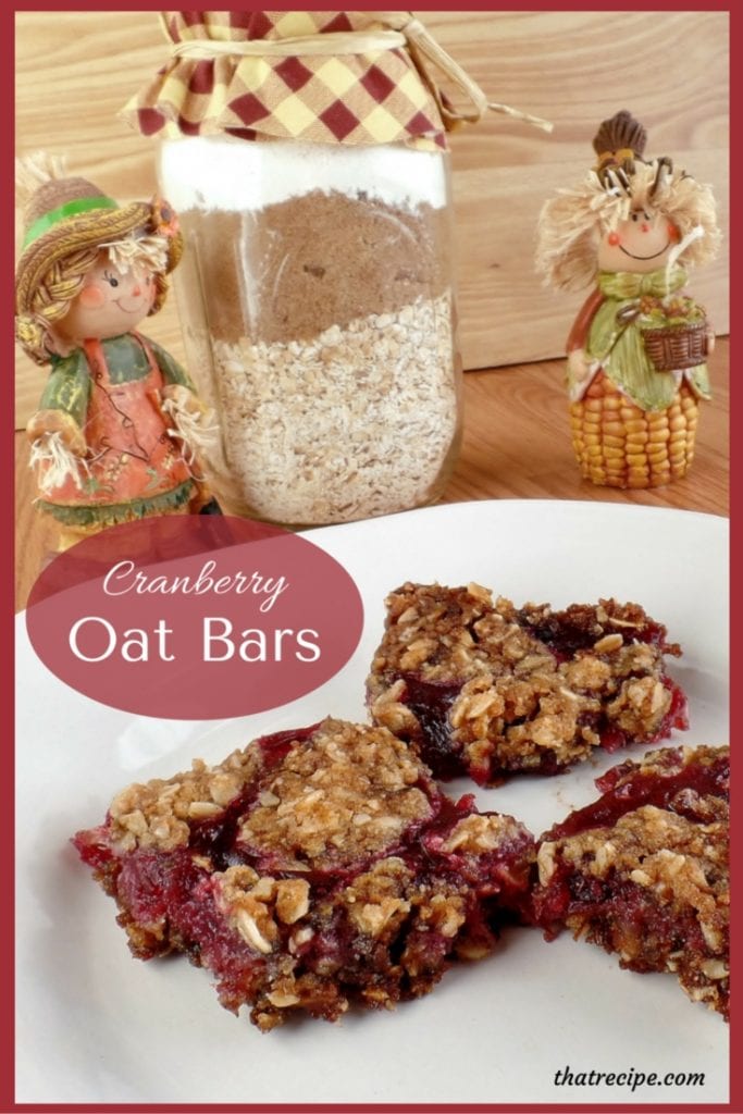 Gifts in a Jar Fruit Filled Oat Cookie Bars