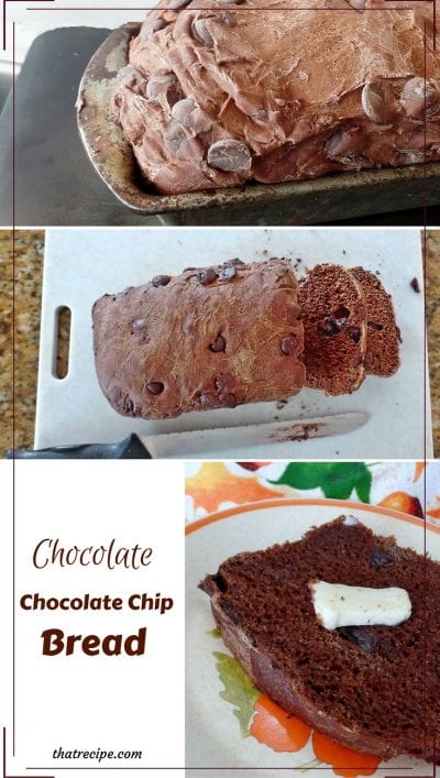 Chocolate Chocolate Chip Bread: yeast bread made with cocoa powder and studded with chocolate chips. Similar to Fleischmann's Chocolate Bunny Bread
