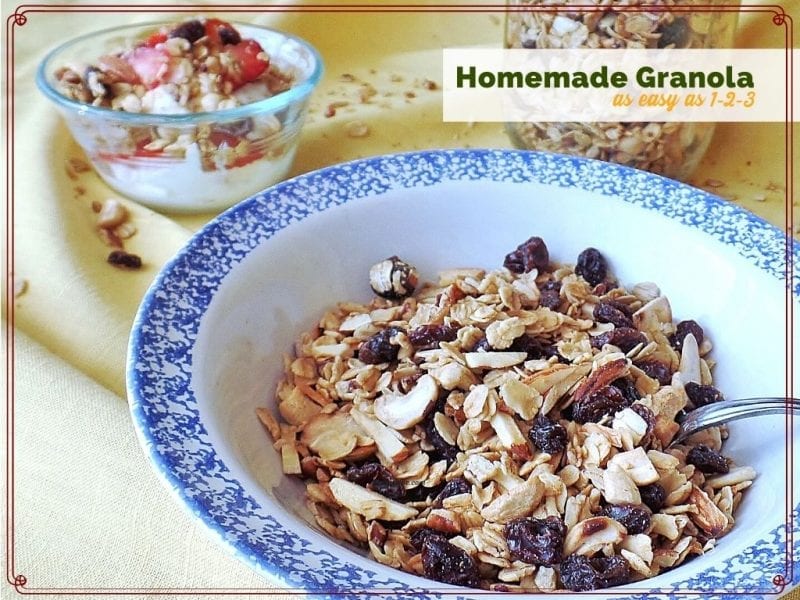 bowl of homemade granola