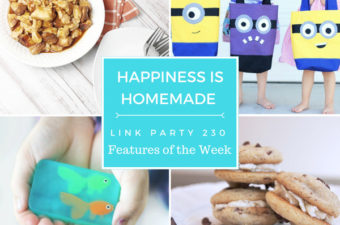 Summertime and the Livin is Easy on Happiness is Homemade