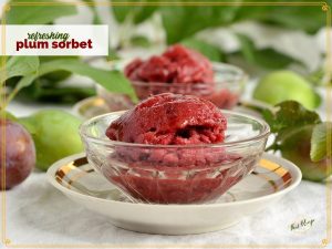 plum sorbet in glass bowls on a table with text overlay "refreshing plum sorbet"