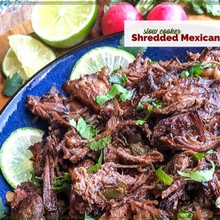 plate of shredded Mexican beef