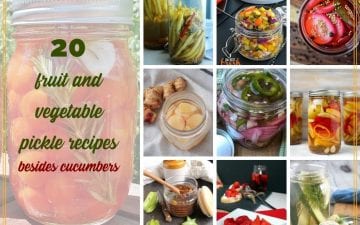 collage of pickle images with text overlay "20 fruit and vegetable pickles besides cucumbers"