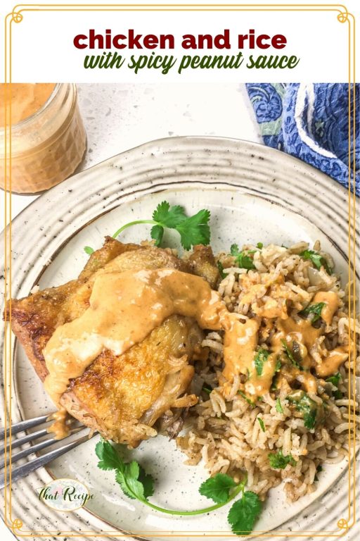 chicken and rice on a plate with text overlay "chicken and rice with spicy peanut sauce"