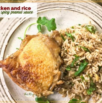 chicken and rice on a plate with text overlay "chicken and rice with spicy peanut sauce"