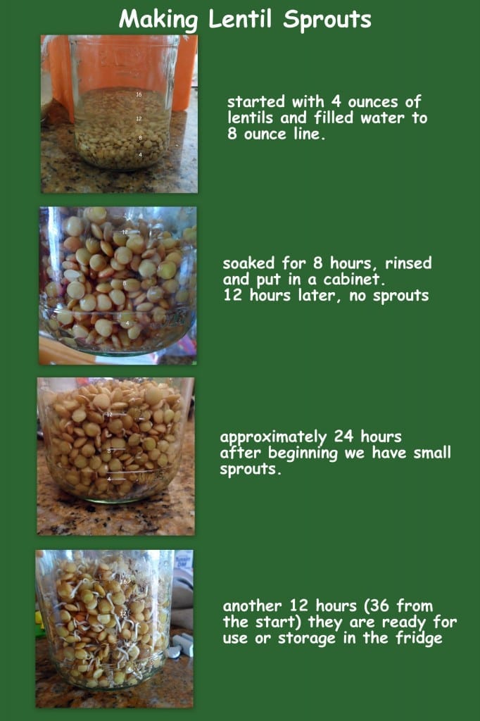 How to make Lentil Sprouts
