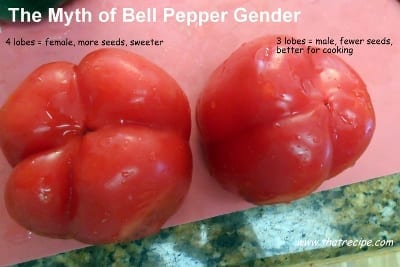 Myth of Bell Pepper Gender