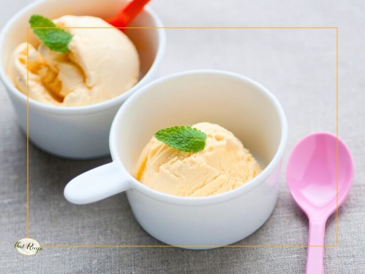 scoop of country vanilla ice cream