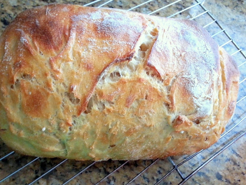 No Knead Sourdough Artisan Bread