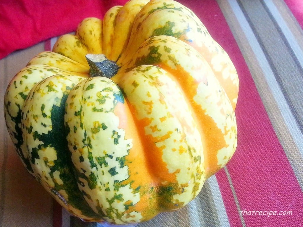 Carnival Squash