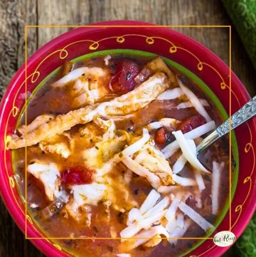 bowl of tortilla soup