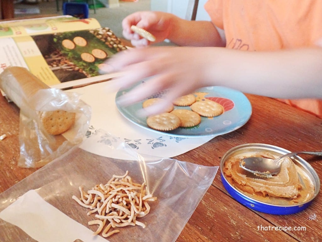 dinosaur tracks snacks ingredients