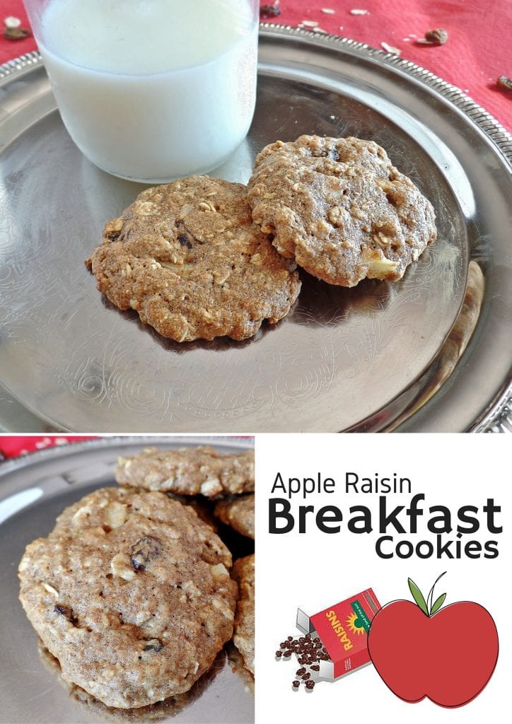 Apple Oatmeal Breakfast Cookies