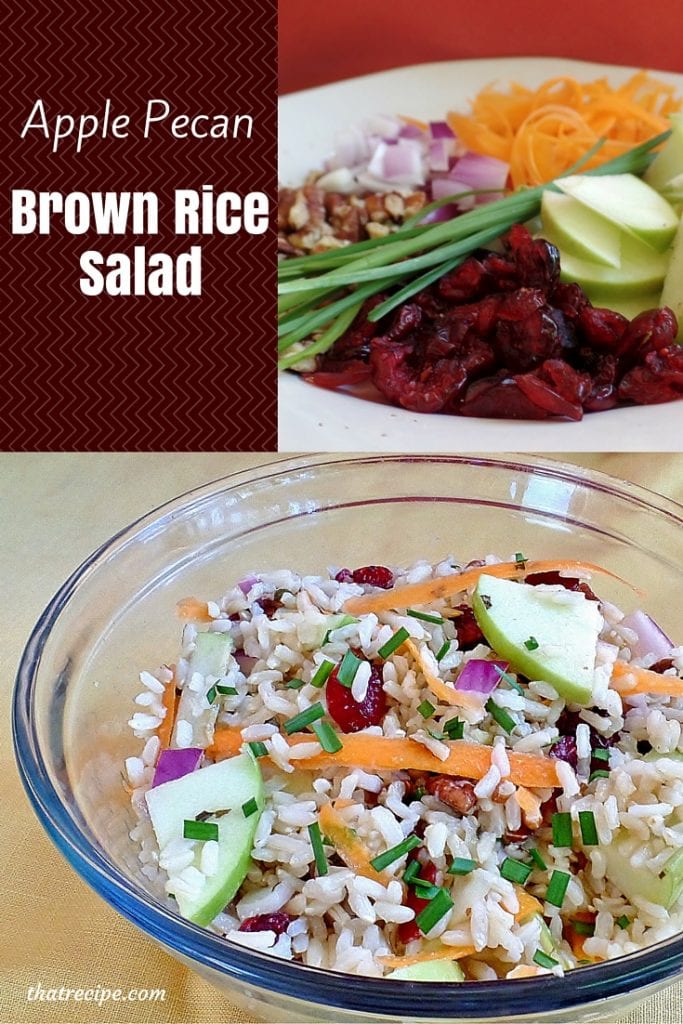 Apple Pecan Brown Rice Salad - a healthy brown rice salad with apples, cranberries, carrots, onions and pecans. vegan, vegetarian, gluten-free