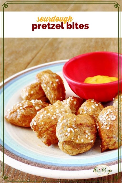 sourdough soft pretzel bites on a plate with mustard dip