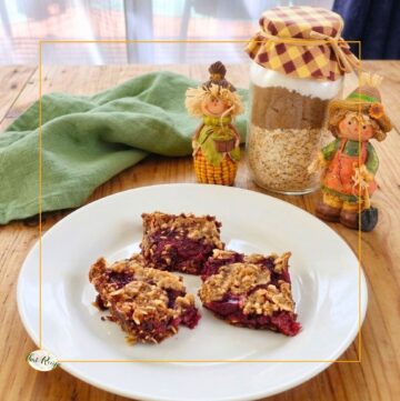 cranberry oat bars on a plate with cookie mix in a jar