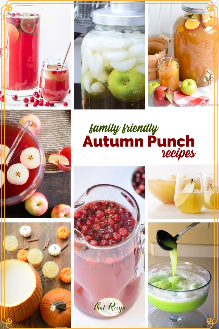 collage of alcohol free punch images with text overlay "family friendly autumn punch recipes"