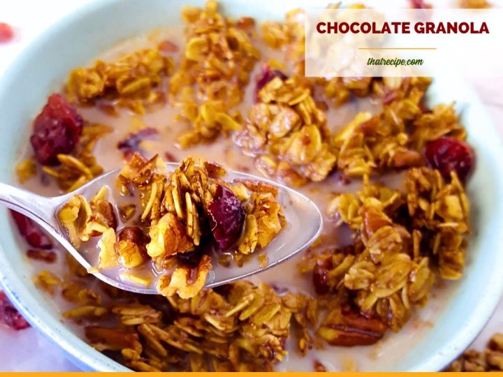 close up view of homemade chocolate cranberry granola