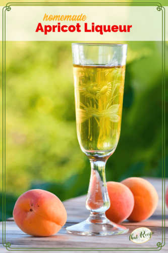 glasses of liqueur and apricots on a table with text "Homemade Apricot liqueur"