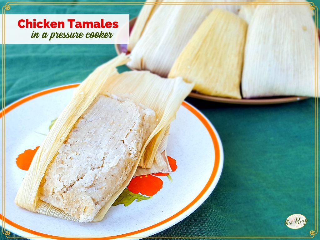 https://thatrecipe.com/wp-content/uploads/2019/09/Chicken-Tamales.jpg