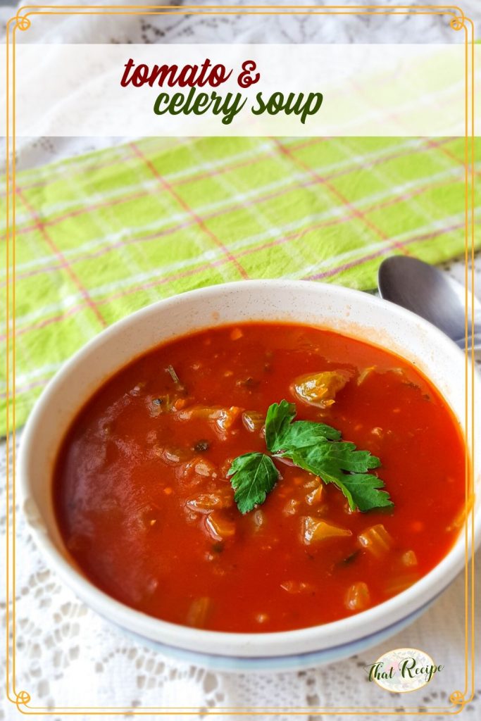 overhead view of tomato and celery soup in a bowl with a spoon