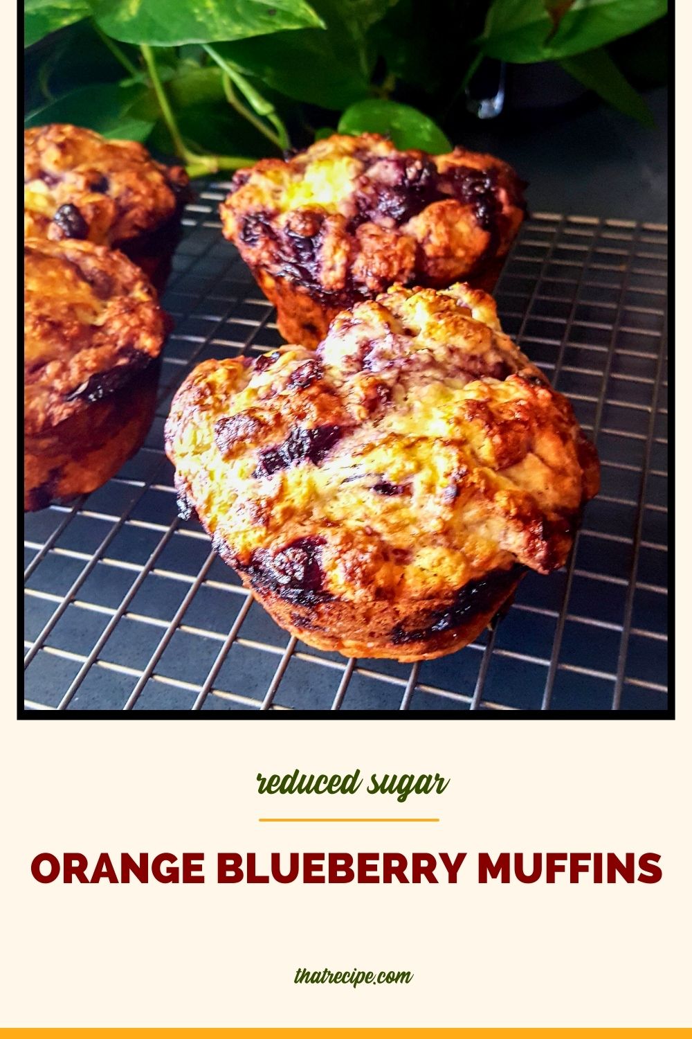 blueberry muffins on a rack with text overlay "orange blueberry muffin"
