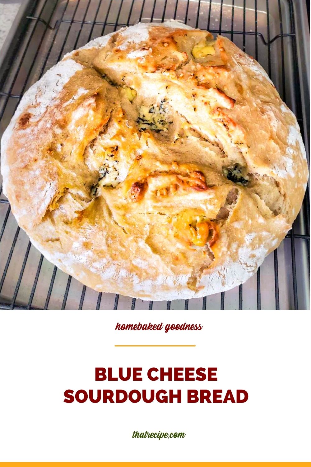 loaf of artisan bread with text overlay "blue cheese sourdough bread