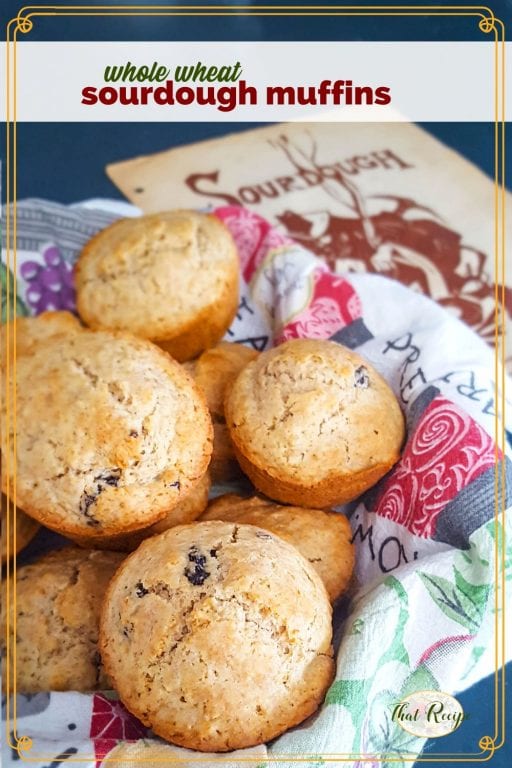 whole wheat muffins in a bowl with vintage sourdough pamphlet in background