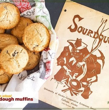 whole wheat muffins in a bowl with vintage sourdough pamphlet in background