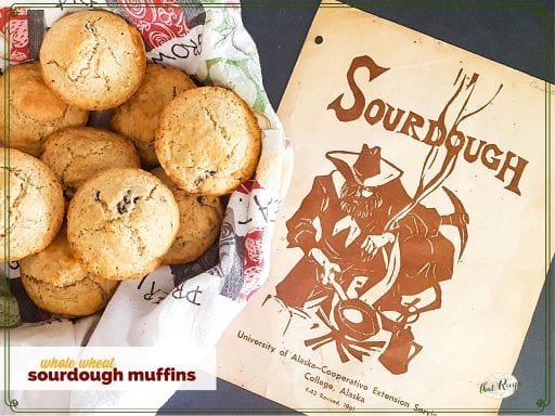 whole wheat muffins in a bowl with vintage sourdough pamphlet in background