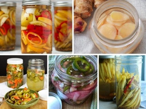 collage of pickle images
