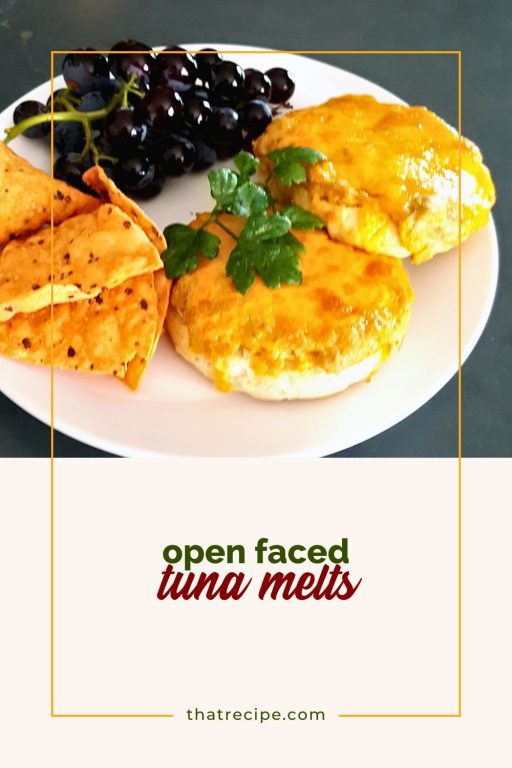 open faced tuna melt sandwich