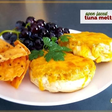 tuna melt sandwich on a plate with chips and grapes and a text overlay "open faced tuna melts"