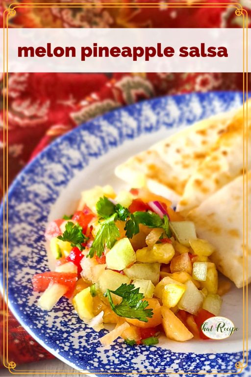 fruit salsa on a plate with quesadilla and text overlay "Melon Pineapple Salsa"