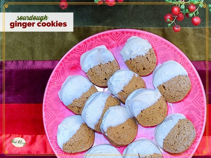 cookies dipped in white chocolate on a plate with text overlay "sourdough ginger cookies"