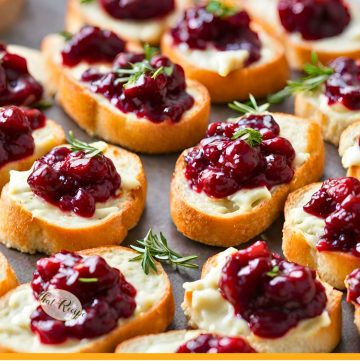 mini toasts with brie and cranberry sauce