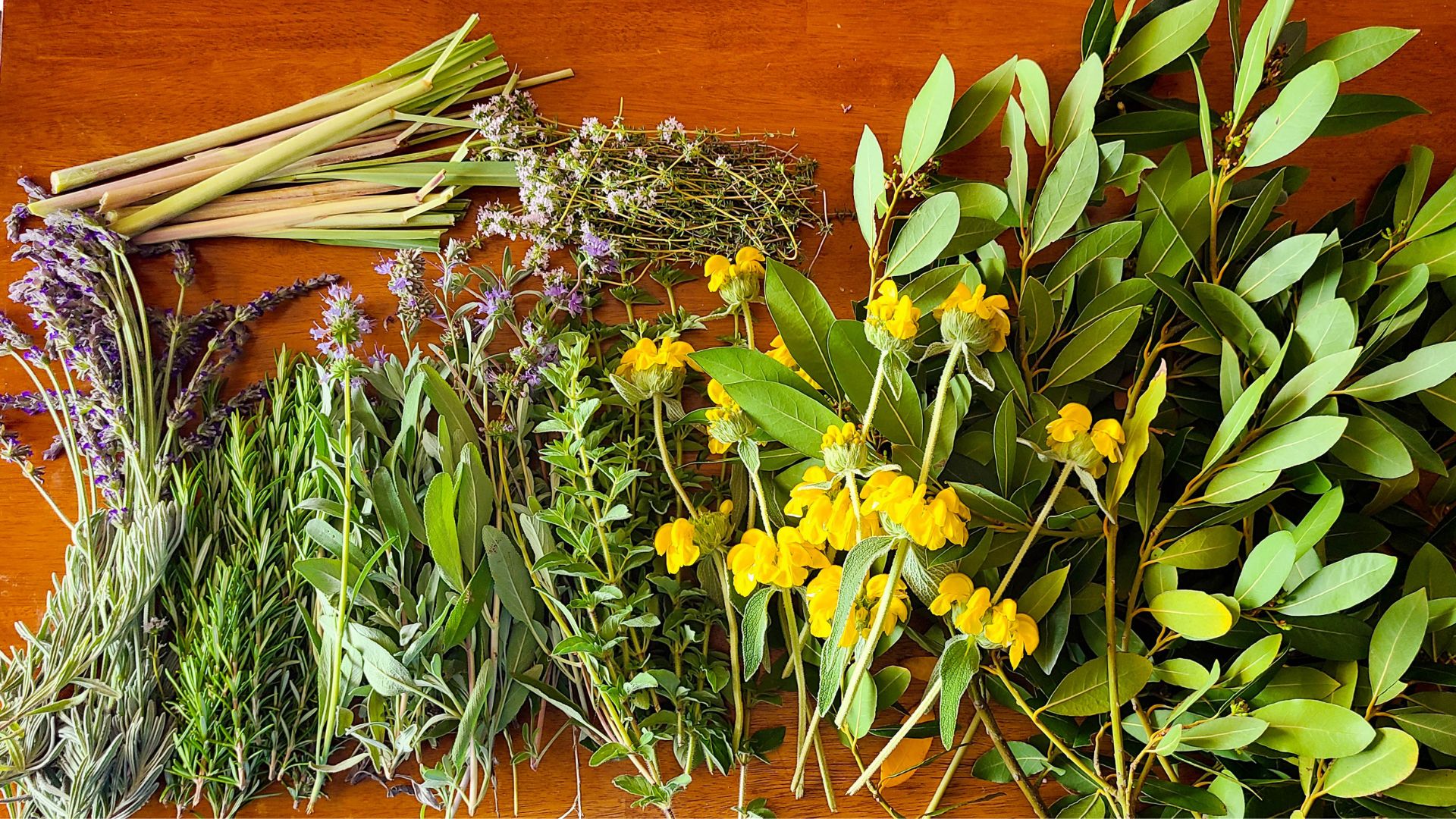 fresh herbs on a table